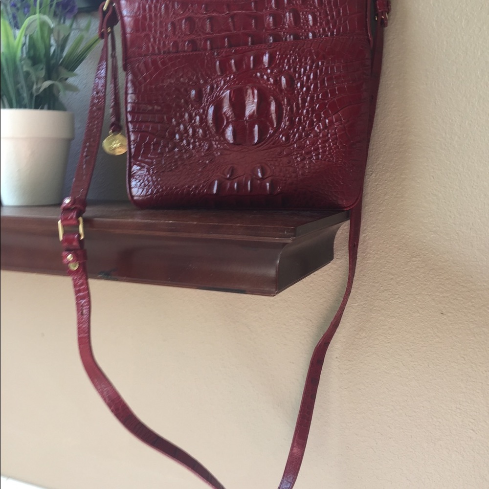 SOLD SOLD. Gorgeous Red Brahmin